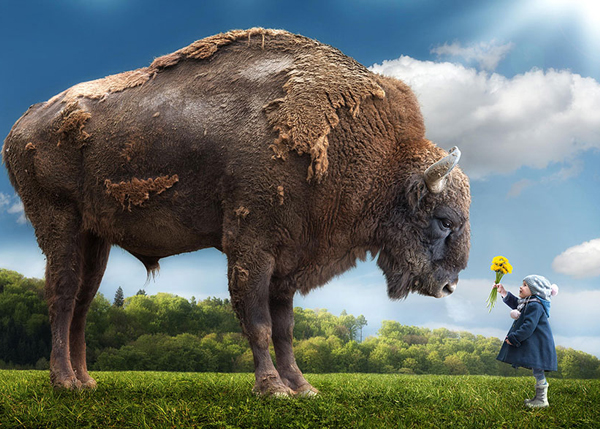 Surrealist Dad’s Incredible Photoshopped Pics of Kids